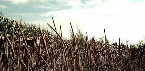 M.D.B. vypouští streetový klip na novou pecku Sky is the limit!